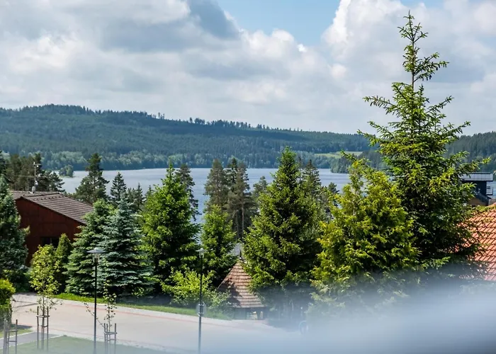 Daire Korzo 321-9, C1 Lipno